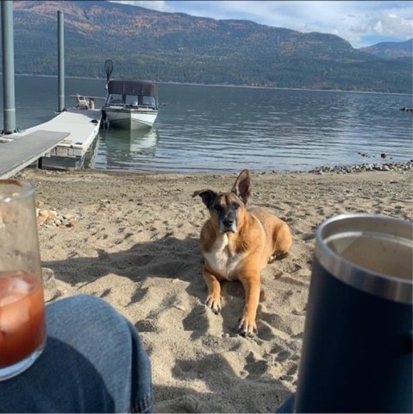 Meet your Posher, Chris - Picture 1 of 1